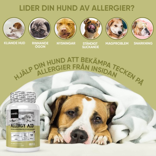 Stöd för hund, tabletter | För att samt lindra allergi | Animigo